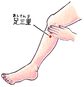 足三里