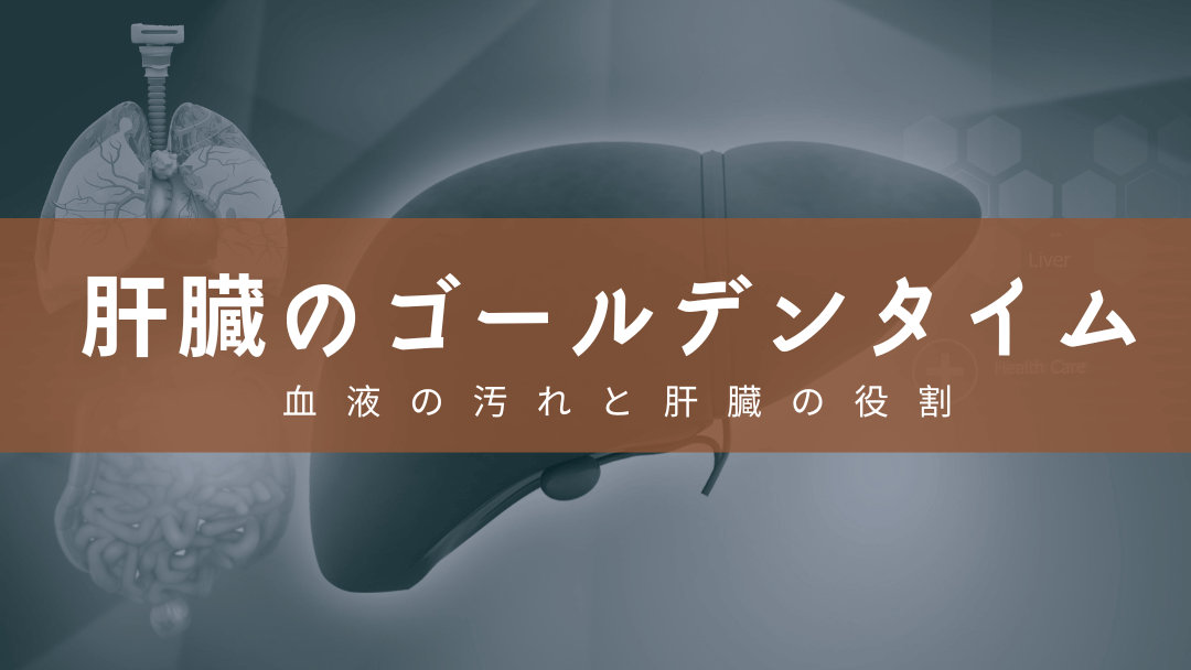 肝臓のゴールデンタイム