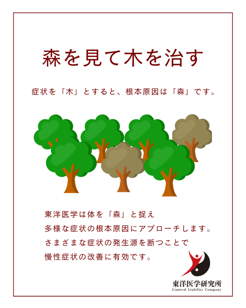 木を見て森を治す