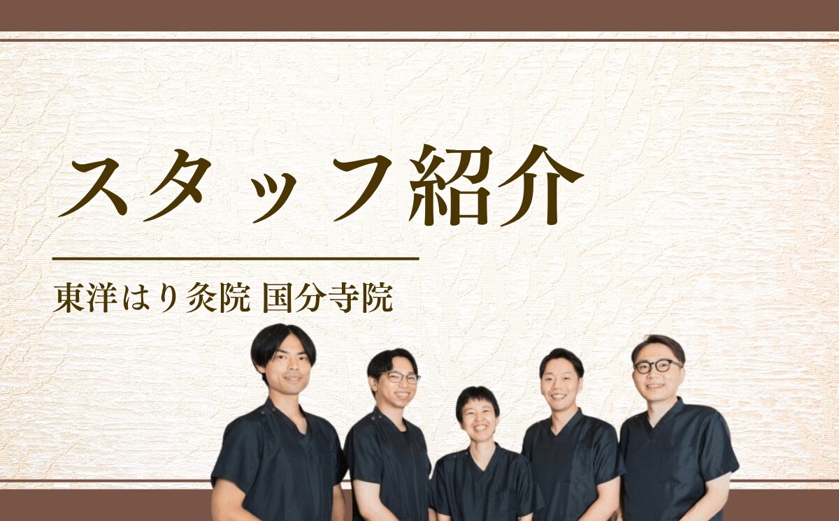 スタッフ紹介